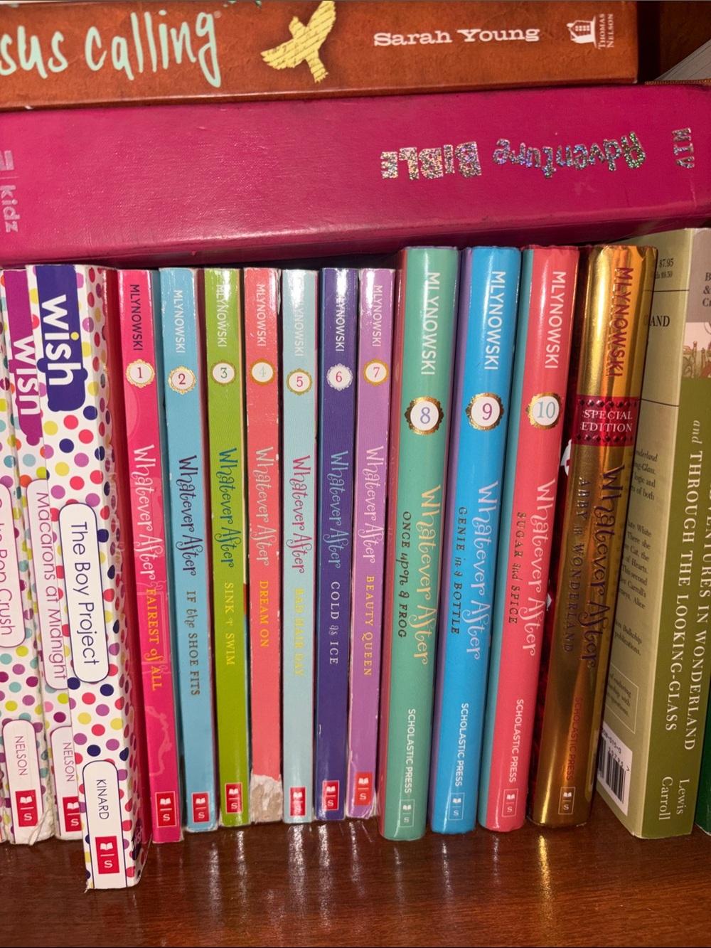 Whatever After Children Book Series Set (1-11)